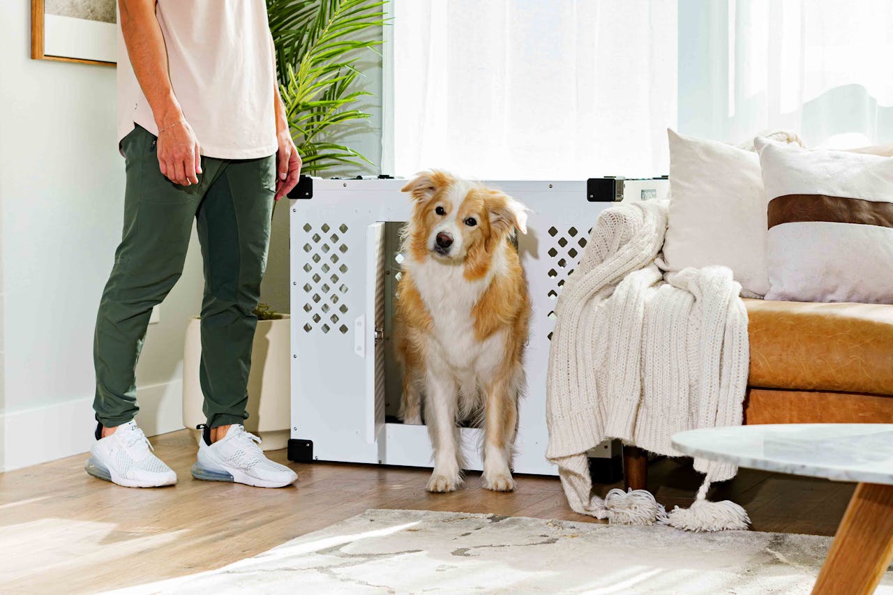 Stationary Crate Perfection: Impact Dog Crates with Optional Side Door for Beautiful Homes